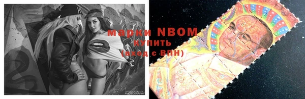 прущие грибы Майский