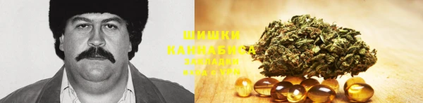 прущие грибы Майский