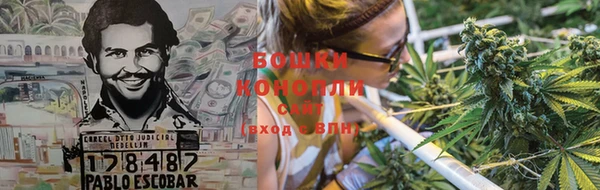 тгк Магас