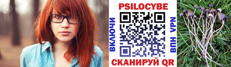 blacksprut ТОР  Саранск  Псилоцибиновые грибы прущие грибы 